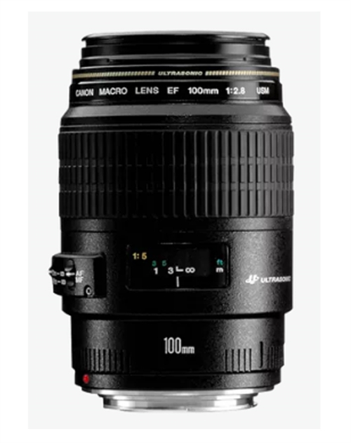 Canon Macro EF 100mm 2,8 USM